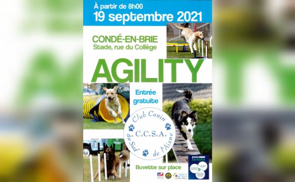 Concours Agility 2021 - Club Canin du Sud de