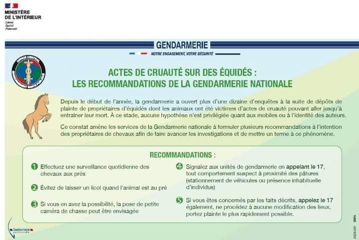 Actes de cruauté sur des équidés - Gendarmerie nationale